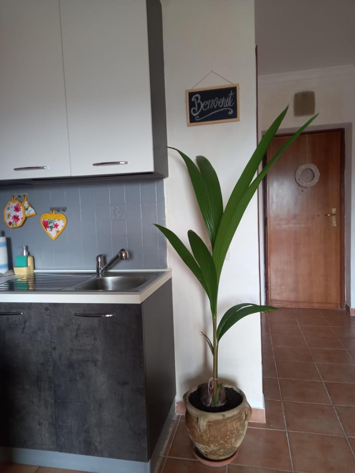 Antica Fonte Apartman Montefranco Kültér fotó